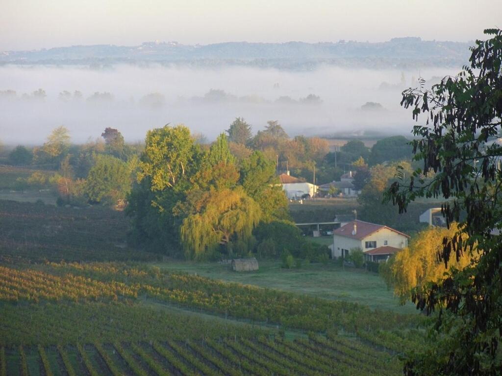 Romantic Gite Nr St Emilion With Private Pool And Views To Die For Pujols  Exteriör bild