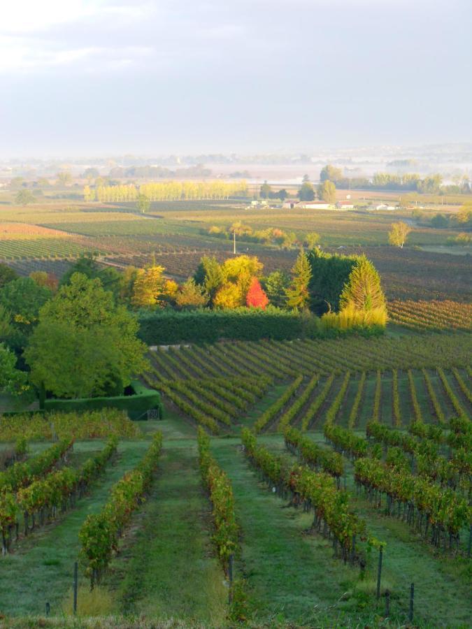 Romantic Gite Nr St Emilion With Private Pool And Views To Die For Pujols  Exteriör bild
