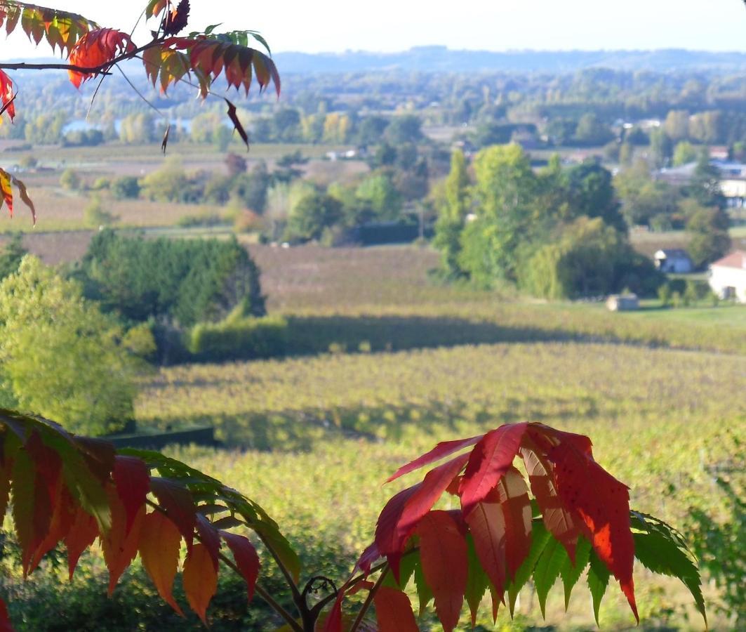 Romantic Gite Nr St Emilion With Private Pool And Views To Die For Pujols  Exteriör bild