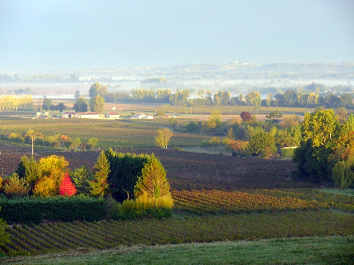 Romantic Gite Nr St Emilion With Private Pool And Views To Die For Pujols  Exteriör bild