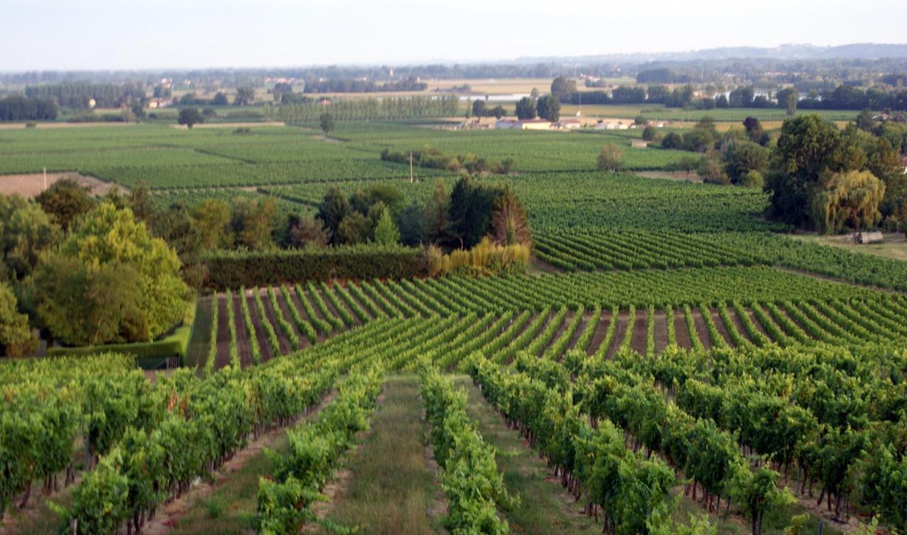 Romantic Gite Nr St Emilion With Private Pool And Views To Die For Pujols  Exteriör bild
